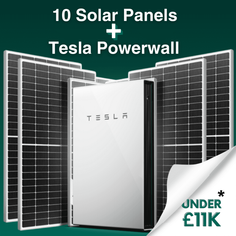 Tesla (2)